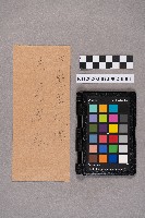 藏品(陳竹模致洪見濤之書信)的圖片