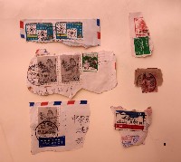 藏品(郵票)的圖片