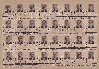 藏品(謝掙強第七屆高雄市長選舉競選文宣)的圖片