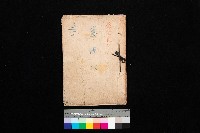 藏品(策源地3/5登記完了（竹子腳）)的圖片