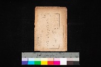 藏品(漁業組合登記申請書綴入帳)的圖片