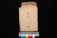 藏品(鳥松、仁武（圖面）)的圖片