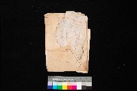 藏品(高雄第二女子學校州公用地貸下願)的圖片