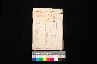 藏品(D線用地買收（馬公海軍建築部）)的圖片