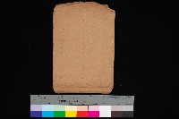 藏品(隘寮溪開墾許可地一覽圖)的圖片