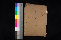 藏品(官公用地肥料會社
（埋立地未○地圖）)的圖片