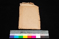 藏品(高雄州高雄市壽山附近管理換地名細圖)的圖片