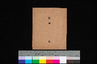 藏品(高雄市三塊厝（圖面）)的圖片