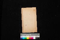 藏品(佐世保海軍岡山航空隊地圖)的圖片