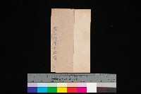 藏品(草衙海埔平面圖)的圖片