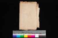 藏品(竹子港地圖)的圖片