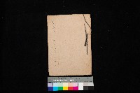 藏品(高臨營第一號ノ內三十一（岡）
第20號借地)的圖片