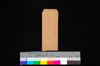 藏品(高雄中學校農具舍、堆肥舍（圖面）)的圖片