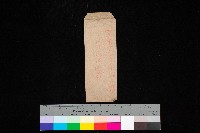 藏品(高雄高等女學校作法室（圖面）)的圖片