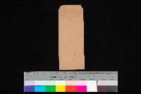 藏品(甲種會計課長官舍（圖面）)的圖片