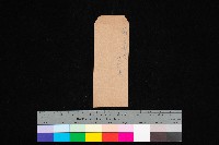 藏品(前金官舍（圖面）)的圖片