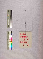 藏品(標示編號、檢修日期、掛牌日期等資料)的圖片