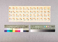 藏品(中殼潤滑油股份有限公司貼紙)的圖片