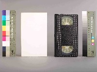 藏品(劉俊宏攝記錄觀點-站鬪陣 戰同線(上))的圖片