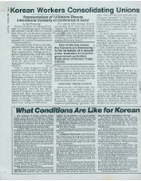 藏品(英文期刊《Labor Notes》1988年11月號多篇文章影本)的圖片