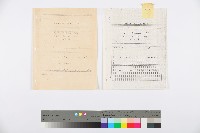 藏品(洪哲勝譯〈要向古典的勞工運動告別嗎？〉手稿影本)的圖片