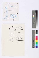 藏品(台南紡織員工《勞動者》寄贈名單)的圖片