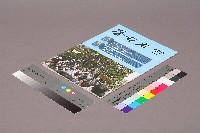 藏品(《勞動者》第182期)的圖片