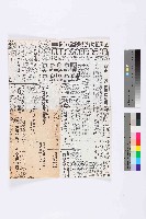 藏品(〈立委組跨黨俱樂部起波瀾，執政黨各系負責人多表反對〉等多篇剪報影本)的圖片