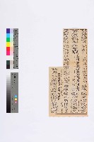 藏品(〈反污染自力救濟的幾個特性〉剪報)的圖片