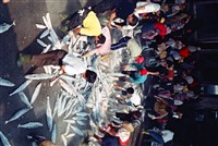 藏品(梁展誌佳作作品「前鎮漁港的勞工」)的圖片