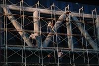 藏品(楊蘇翠如佳作作品「同心協力」)的圖片