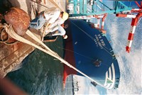 藏品(陳邦強佳作作品「泊船」)的圖片