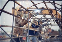 藏品(余子賢佳作作品「一起拼鬥」)的圖片