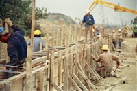 藏品(余子賢未入選作品)的圖片