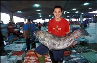 藏品(黃子明參展作品「魚躍愉快」(數位檔))的圖片