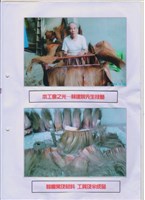 藏品(2015年勞動影像暨說故事徵集比賽-林政輝先生作品)的圖片