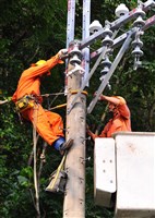 藏品(2015年勞動影像暨說故事徵集比賽《電力建設勞工高空作業中》蔡致模攝)的圖片