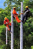 藏品(2015年勞動影像暨說故事徵集比賽《電力建設勞工登高施工》蔡致模攝)的圖片