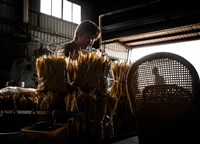 藏品(包裝豆皮)的圖片