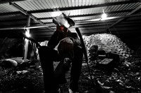 藏品(木炭工人)的圖片