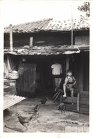 藏品(洪火雲住家照片)的圖片