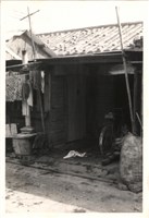 藏品(王川住家照片)的圖片