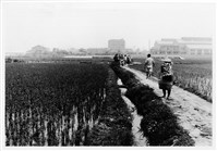 藏品(《汗水直直落 勞工影像故事輯》來自庄腳「宋盛看、宋余秀鳳」照片)的圖片