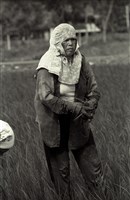 藏品(《汗水直直落 勞工影像故事輯》來自庄腳「愛土愛地 人力耕耘」照片)的圖片