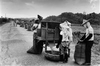 藏品(《汗水直直落 勞工影像故事輯》來自庄腳「越過重重關 稻穀成米粒」照片)的圖片