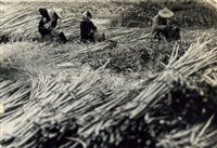 藏品(《汗水直直落 勞工影像故事輯》巧手展功夫「人力加工竹見好用途」照片)的圖片