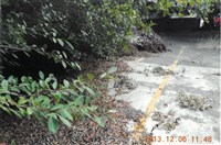 藏品(台機公司黃人國先生檢舉廠區違規1)的圖片