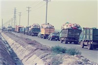 藏品(台南永康王田垃圾山圍堵事件數位相片)的圖片