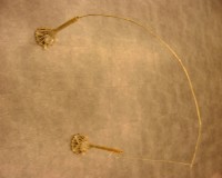 藏品(釣具)的圖片