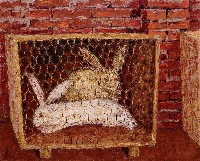 藏品(兔)的圖片